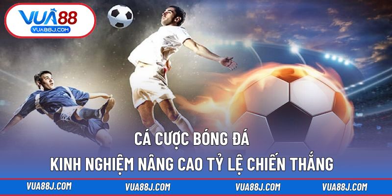 Cá cược bóng đá