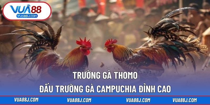 Trường gà Thomo